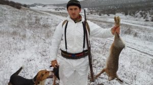 охота на зайца