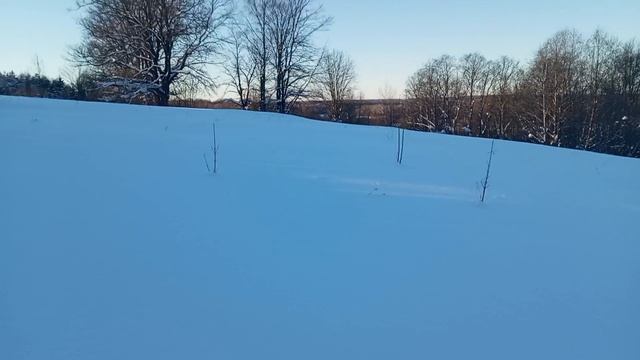 Раздаю Канди на заброшенной пасеке.Часть 3. смотреть онлайн