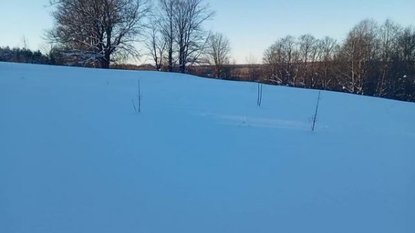 Раздаю Канди на заброшенной пасеке.Часть 3.