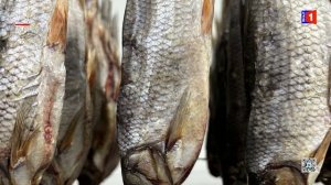 Дайджест новостей от 17.02.2026