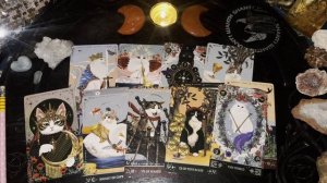 Как прожить Тяжелый период. Онлайн расклад Muse Cat Tarot