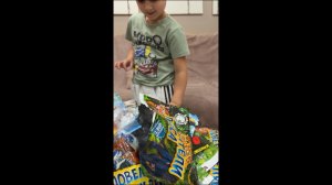 Распаковка от Sbabam. Повелители леса, повелители горных вершин, полярные хищники, морские обитатели