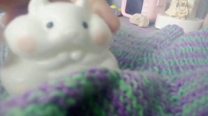 давайте придумаем имя табо хомечку он мальчик очень жду ваших комментариев