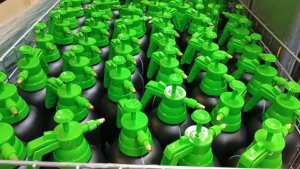 Новости из Светофора