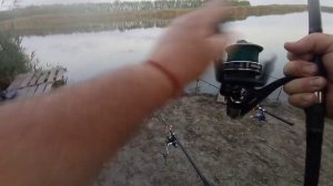 Р.Чамлык, Борьба с карпом ,толстолобом ,свечка амура ,полный садок рыбы