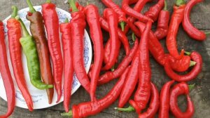 Перец Джимми Нарделло