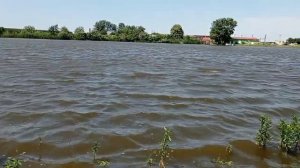 Есть трофей,река Гиага ,начало положено