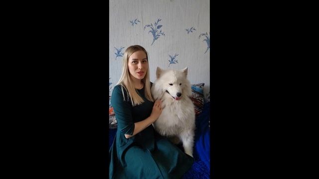 Игорь Алтайский. Зоогостиница. Отзыв.