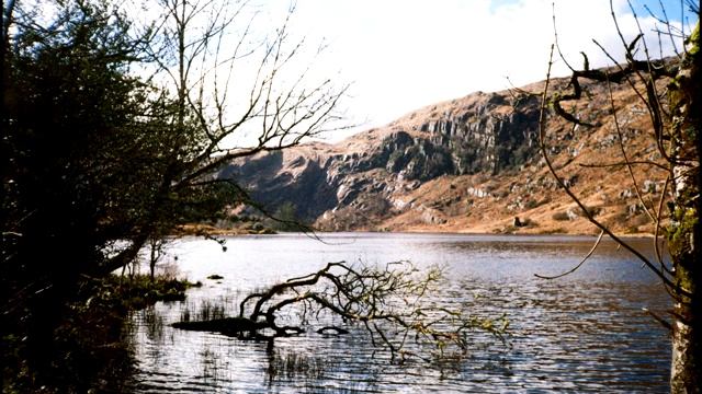 Amen Jungle Vol 001 ScientificCreative Wax mix