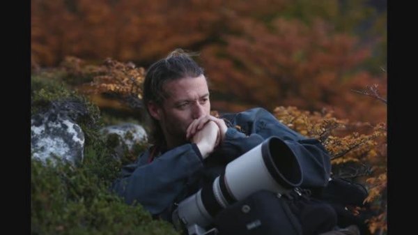 Знакомство с творчеством Alexandre Deschaumes