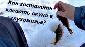 Ловля окуня в глухозимье