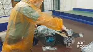 Радиоактивные бусины в посылках из Китая нашли таможенники в Казани