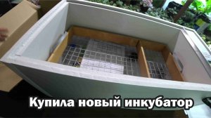 Обзор покупок с маркетплейсов: инкубатор, садовые препараты, семена тыквы, огурцов