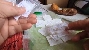 Жизнь в деревне.Разбираю семена.