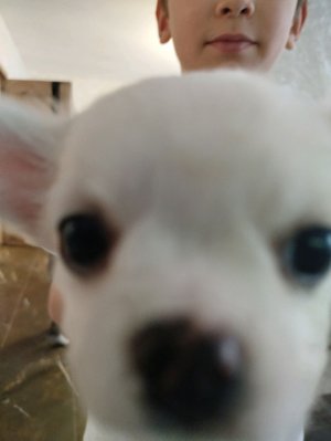 Сидим на мероприятии