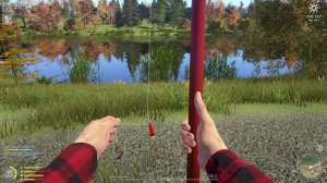 🔴ЕЩЕ один трофей! / Russian Fishing 4