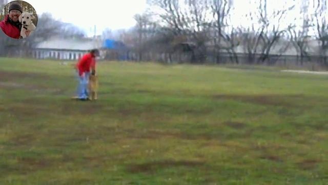 Кинолог Игорь Алтайский.