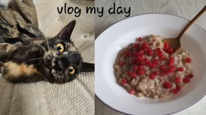 мой школьный день