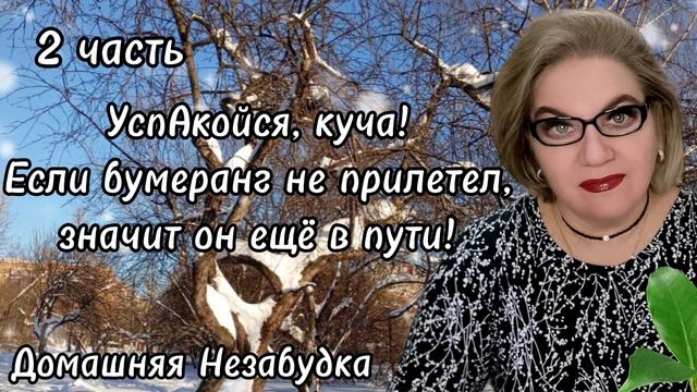2 часть. УспАкойся, куча❗️Если бумеранг не прилетел, значит он ещё в пути💯❗️ смотреть онлайн