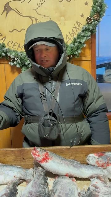 17/02/2026 смотреть онлайн