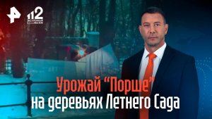 Повисший в деревьях Летнего сада Porsche принадлежит сыну авторитета из 90-х