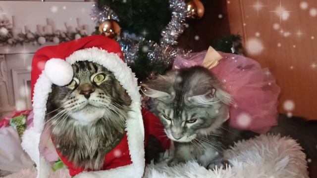 конкурс 🐾маскарад🐾питомник❤️🔥 Кун прайд ❤️🔥