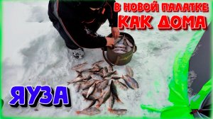 Зимняя рыбалка на Яузком вдхр. с комфортом, как дома! Наконец то открыл сезон!