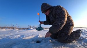 Рыбалка на Жерлицы в новом месте с Федором!Огромный Окунь на Мормышку!