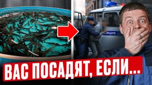 1 ошибка = 5 лет тюрьмы. Как ЗАКОННО разводить и продавать рыбу в 2026? Проверь себя, пока не поздно