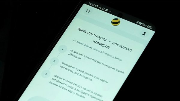 Билайн запустил специальный тариф для звонков в Китай.