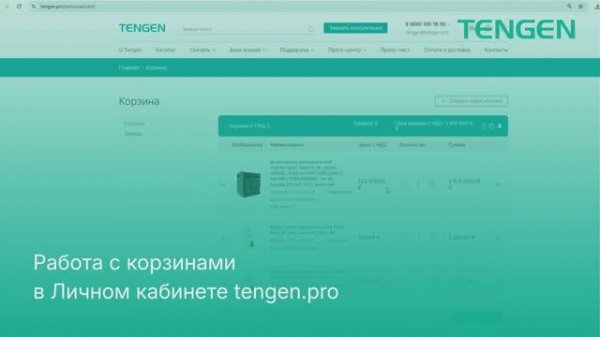 Работа с корзинами. Личный кабинет TENGEN.PRO