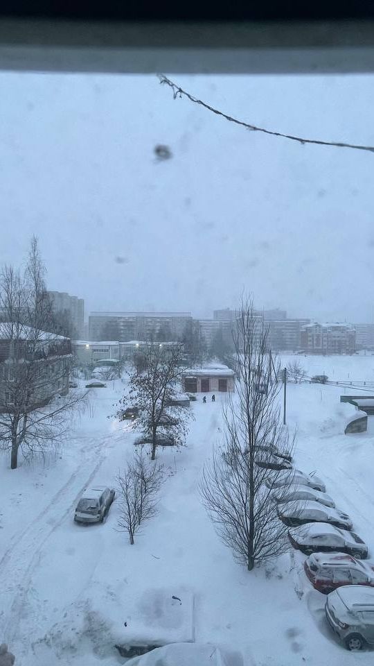 Тема заснеженного двора не отступает….