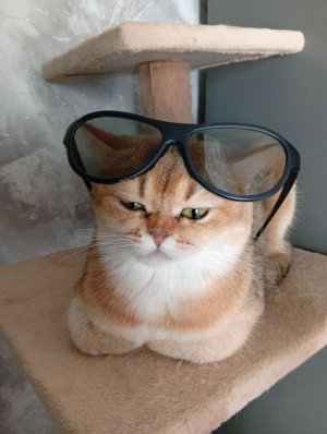 всё я устала когда там Мальдивы