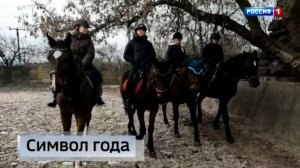 Общение с лошадьми не просто хобби