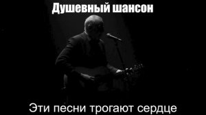 Душевный шансон|Эти песни трогают сердце|Русский шансон