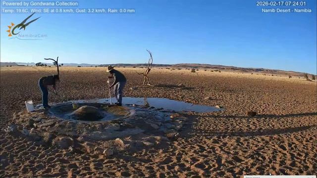 Чистка водоёма. Пустыня Намиб.