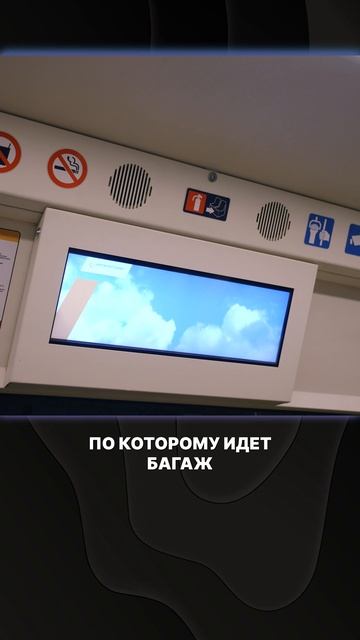 УНИКАЛЬНЫЙ тоннель ПРЯМО ПОД Шереметьево! #шереметьево #аэропорт