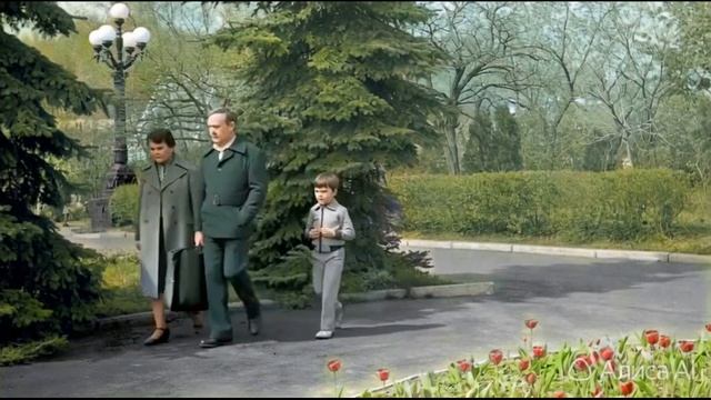 Оживление фотографии №154