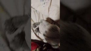 Вася снимает видео сам😱