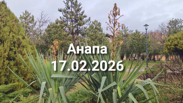 Анапа 17.02.2026