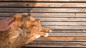 17.02.Весна близко. Анапа.