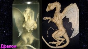 Разбор Терминов Волшебной Культуры от 17.02.26