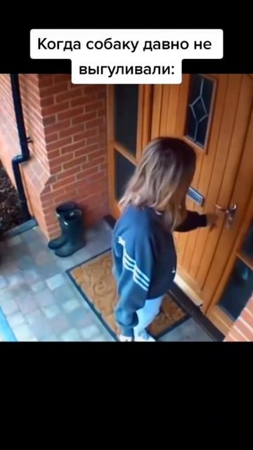 Это я после самоизоляции бегу гулять #собака # прикол Это я после самоизоляции бегу гулять #собака # прикол
