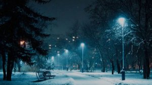 «Белый вечер»..авторы композиции Игорь Корнелюк и Регина Лисиц