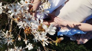 Сила благословения