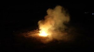 Летающий фейерверк FPC211 2 Фаворит Жук с треском 1уп 6шт