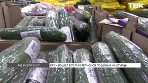 Красноярский край вошел в топ-10 регионов с самыми дорогими огурцами