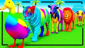 Мультики про диких животных. Яркие животные: утка и корова. Смотреть онлайн Мультики для детей.