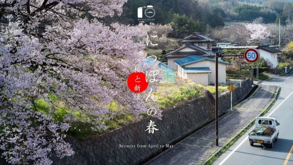 Japan - Beautiful Spring. Scenery Shifting from Cherry Blossoms to Fresh Green