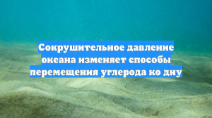 Сокрушительное давление океана изменяет способы перемещения углерода ко дну